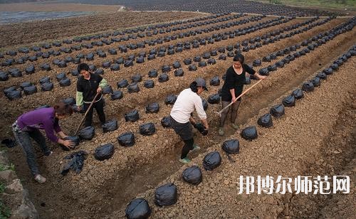 四川興文縣職業(yè)技術(shù)幼兒師范學校地址在哪里