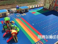 寶雞2020年哪些大專學(xué)校有幼師學(xué)校