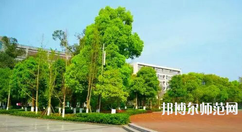 重慶市九龍坡幼師職業(yè)教育中心怎么樣、好不好。