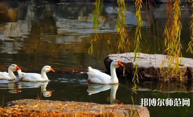 山東財經(jīng)師范大學(xué)萊蕪校區(qū)2023年報名條件、招生要求、招生對象 