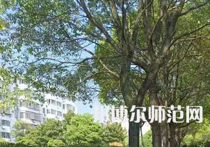 湖南理工師范學院南湖學院2023年有哪些專業(yè)