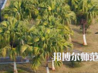 南華師范大學(xué)紅湘校區(qū)2023年招生代碼