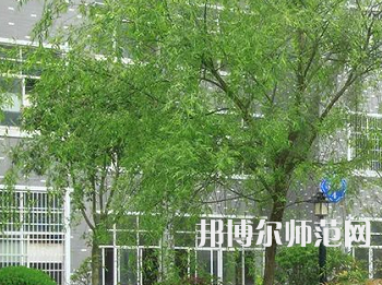 吉首師范大學(xué)張家界學(xué)院2023年招生計劃