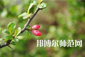 西安幼兒師范職業(yè)學(xué)校2023年學(xué)費(fèi)、收費(fèi)多少