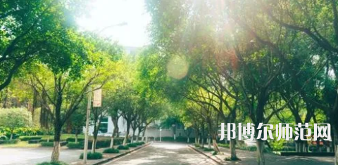 重慶師范大學(xué)涉外商貿(mào)學(xué)院合川校區(qū)2023年報名條件、招生要求、招生對象 