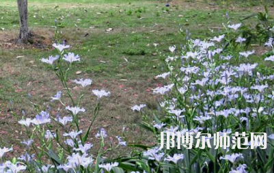 湖南第一師范學(xué)院城南書(shū)院校區(qū)2023年怎么樣、好不好