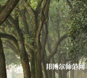 湖南師范大學(xué)樹達(dá)學(xué)院2023年招生簡章