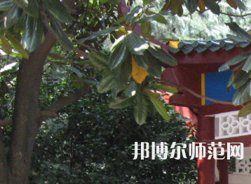 湖南師范大學(xué)樹達(dá)學(xué)院2023年招生計(jì)劃