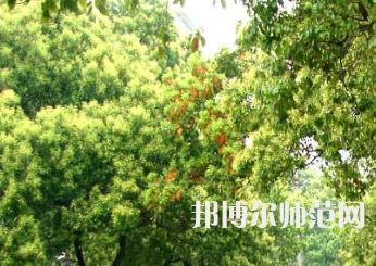 衡陽(yáng)師范學(xué)院南岳學(xué)院2023年怎么樣、好不好