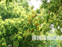 衡陽(yáng)師范學(xué)院南岳學(xué)院2023年怎么樣、好不好