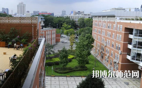 四川大學(xué)師范學(xué)院望江校區(qū)2023年有哪些專業(yè)