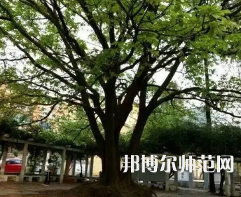 2023年興義民族師范學(xué)院電子科學(xué)與技術(shù)專(zhuān)業(yè)介紹